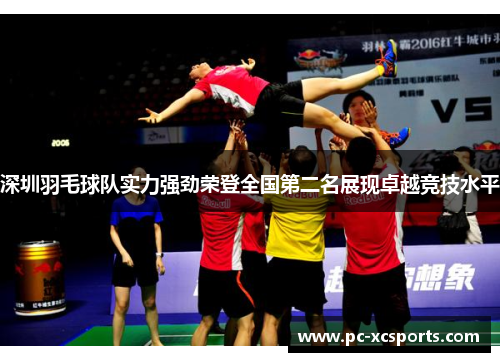 深圳羽毛球队实力强劲荣登全国第二名展现卓越竞技水平